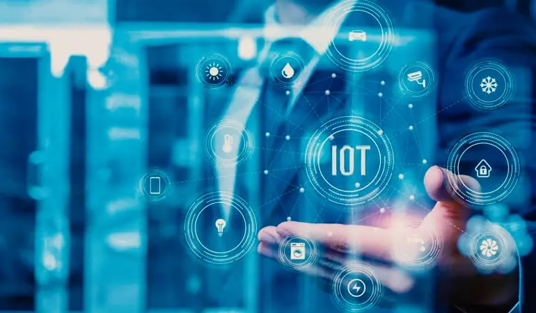 IoT and Web App Development