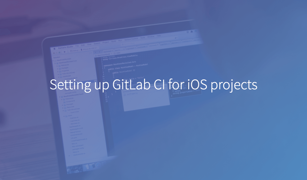 How to Check iOS App Development Project Version in GitLab CI Script
