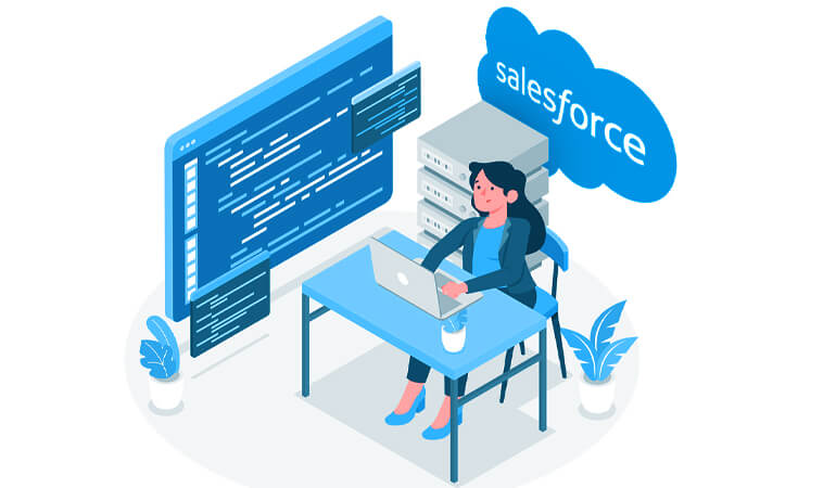 Salesforce Development Services